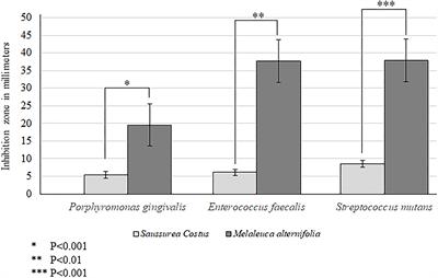 Comparison of the Anti-bacterial Efficacy of Saussurea costus and Melaleuca alternifolia Against Porphyromonas gingivalis, Streptococcus mutans, and Enterococcus faecalis: An in-vitro Study